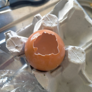 Image of an empty egg shell cracked at the top and sat in an egg container